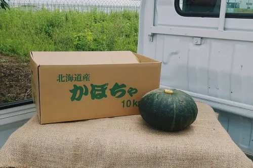 【富良野産かぼちゃ】10kg