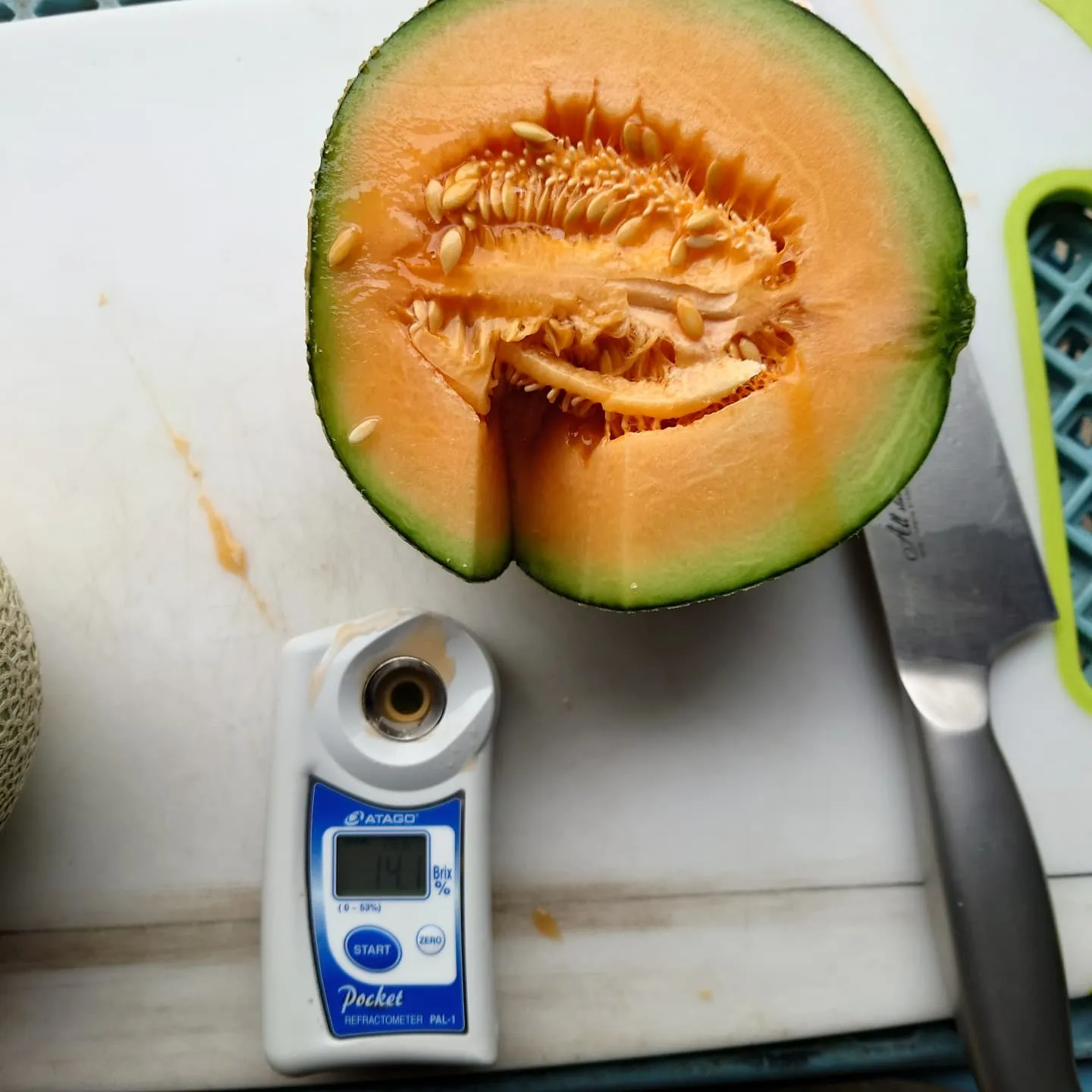 今年初収穫しました‼️