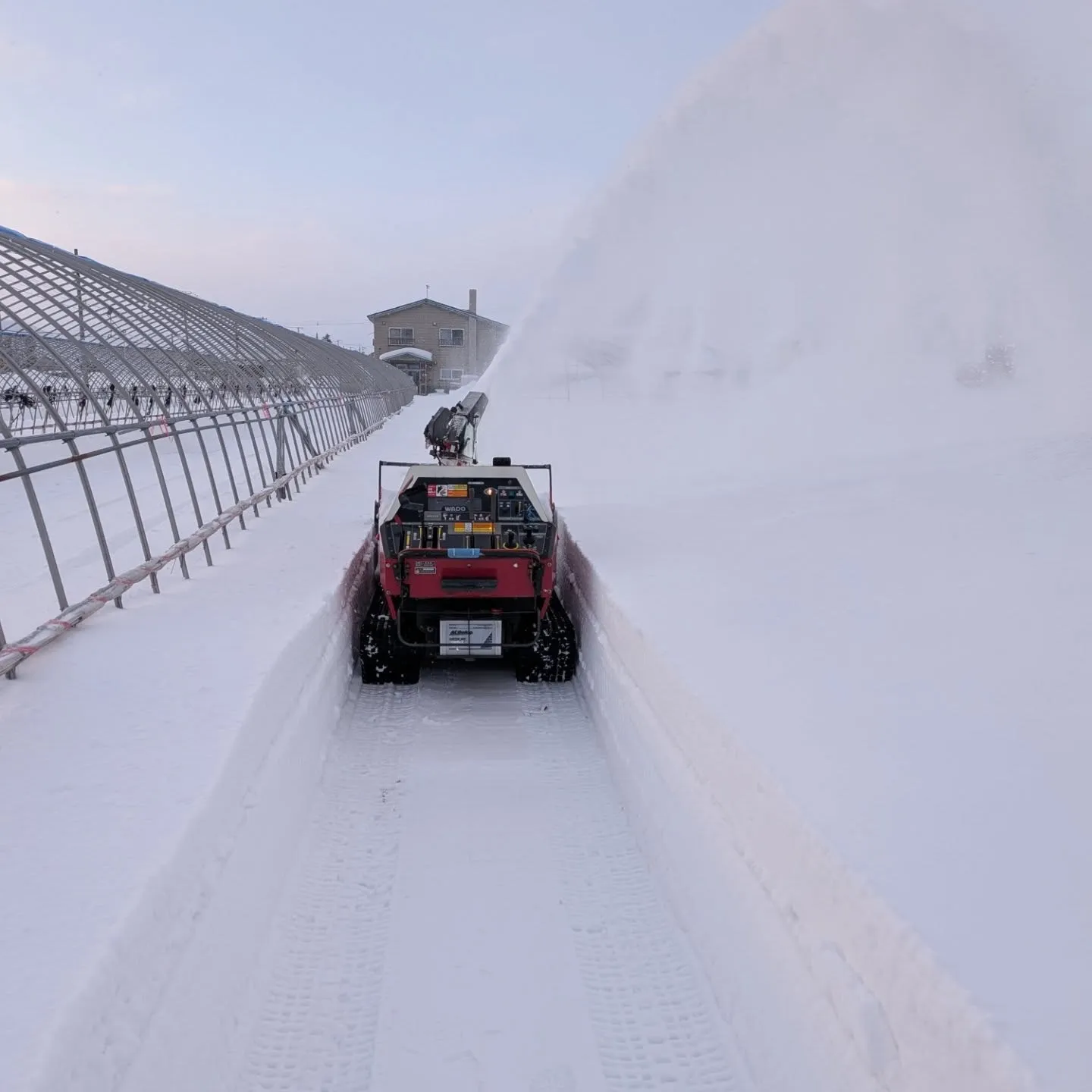 とうとう今年も始まりました。