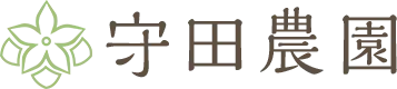 富良野メロンとは？ふるさと納税で手軽に楽しめる旬の味